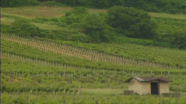 MUSICAL JOURNEY (A) - AUSTRIA: Viennese Vineyards / Steyr / Gmunden