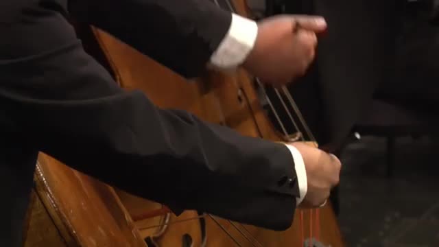 SALZBURG FESTIVAL 2009 OPENING CONCERT - SCHUBERT, F. / STRAUSS, Josef (Harnoncourt)