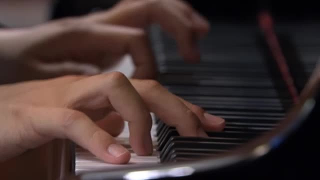 LANG LANG: Live in Vienna, 2010