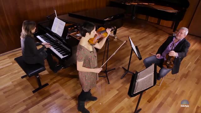 MOZART, W.A.: Violin Concerto No. 5, "Turkish" (Masterclass with Lavard Skou Larsen) (Skou Larsen, Pierre)