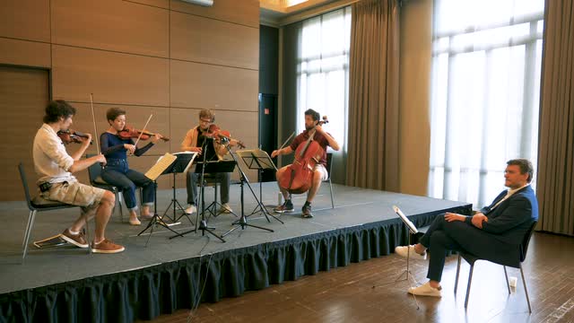 String Quartets - MOZART, W.A. / SCHUMANN, R. (Masterclass with Mathieu Herzog) (Herzog, Quatuor Wassily)