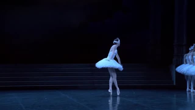 TCHAIKOVSKY, P.I.: Swan Lake (Paris Opera Ballet, 2005)